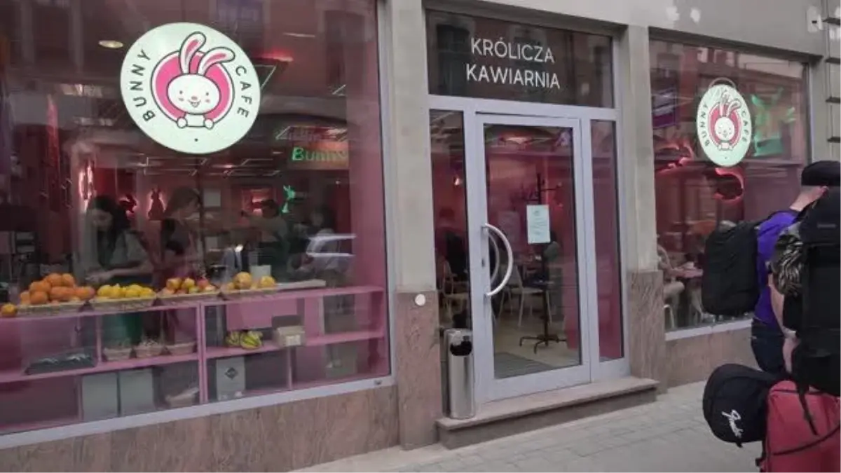 Avrupa'nın ilk tavşan kafesi Krakow'da açıldı