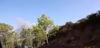 Son dakika haber! Fas'ta orman yangınları iki gündür devam ediyor