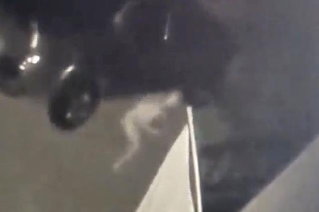 Güvenlik kameralarının açısına giren esrarengiz canlı dünya genelinde büyük merak yarattı Güvenlik kameralarının açısına giren esrarengiz canlı dünya genelinde büyük merak yarattı