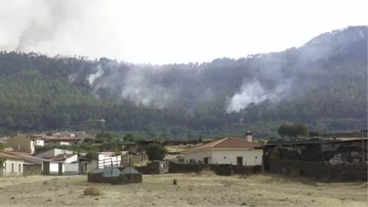 Son dakika haberleri... İspanya'daki orman yangınına havadan ve karadan müdahale ediliyor (2)