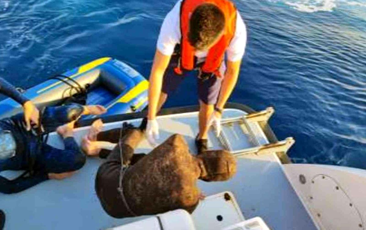Marmaris ve Datça\'da 18 düzensiz göçmen kurtarıldı