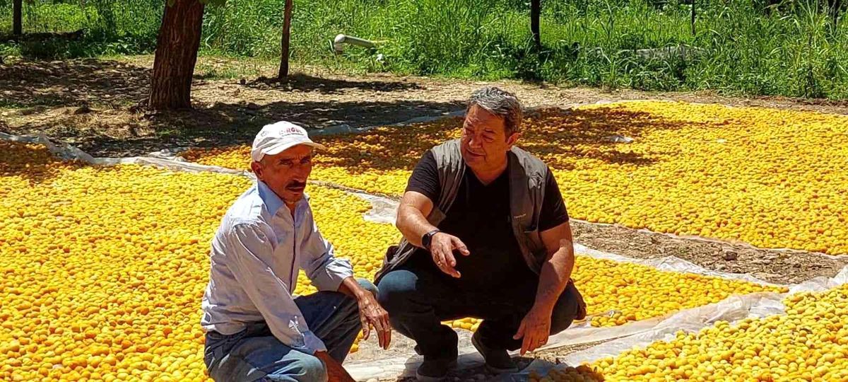 MHP'li Fendoğlu'ndan kayısı üreticilerine ziyaret