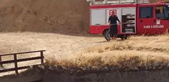 Nusaybin'de sulama kanalında düşen 3 köpek kurtarıldı