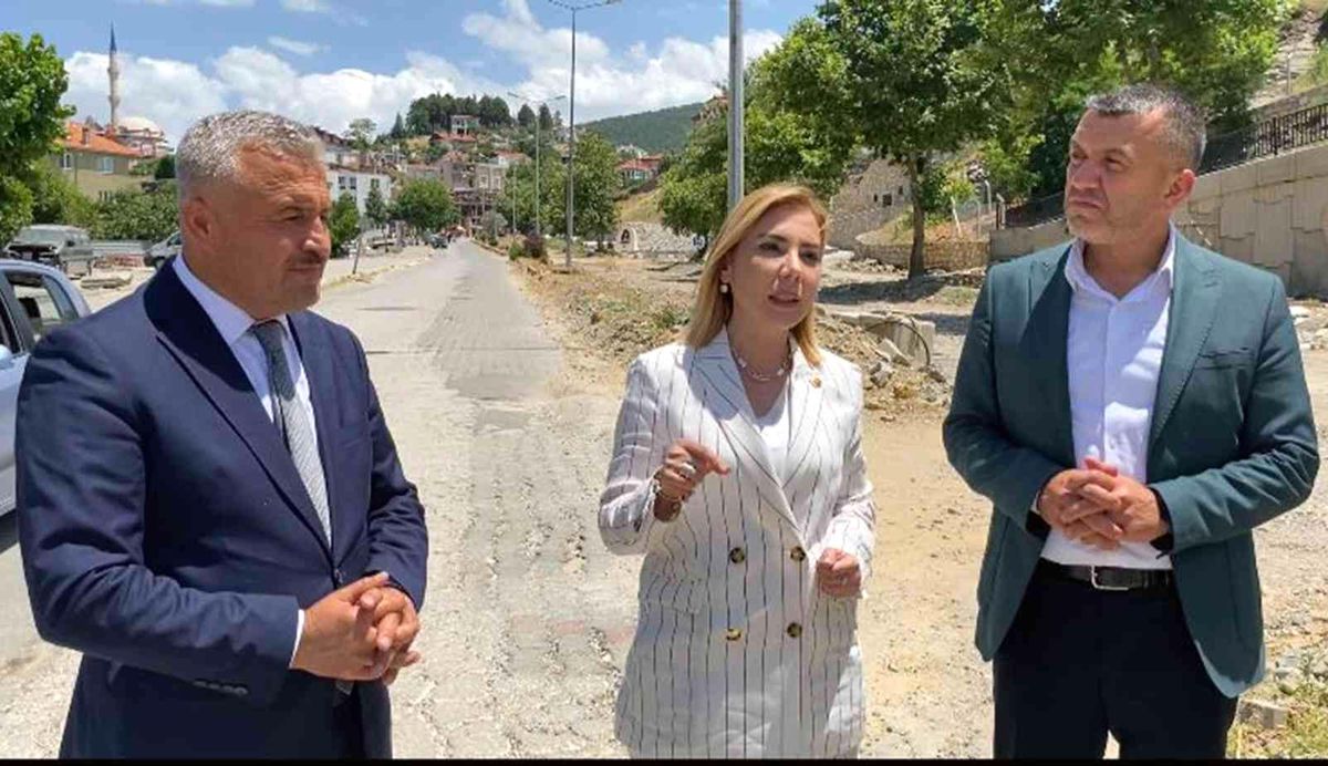 AK Parti Muğla Milletvekili Gökcan'dan Büyükşehir'e yol tepkisi