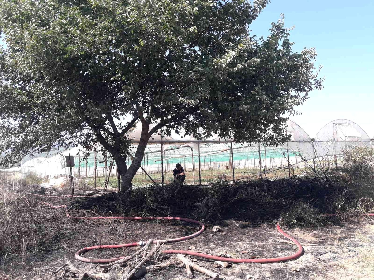 Antalya\'da makilik alanda çıkan yangın seralara zarar verdi
