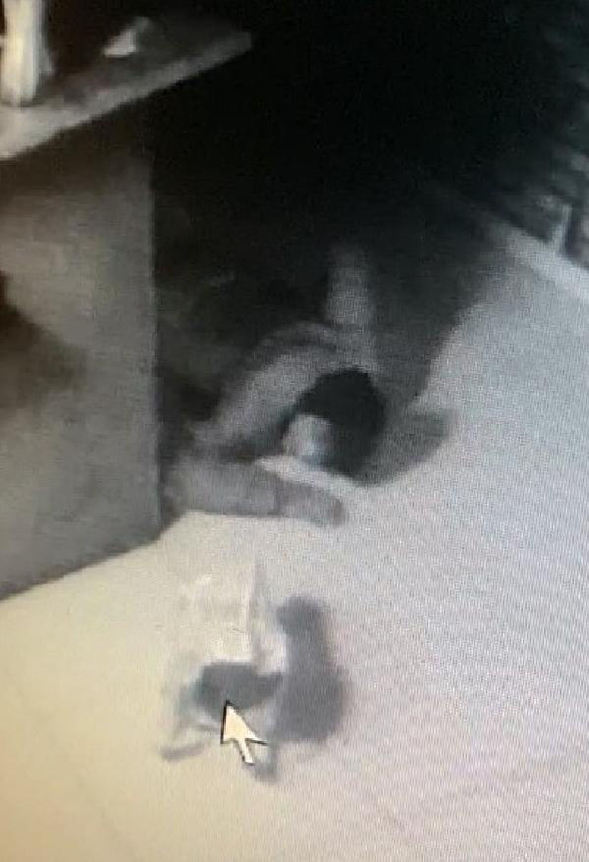 Son dakika haberleri! Kasalardan para çaldı, kameralara yakalanmamak için yerde süründü