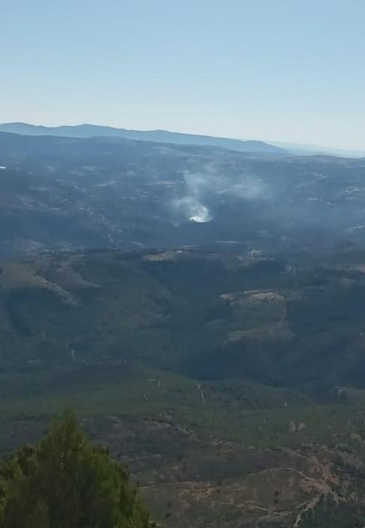 Son dakika haberi | Manisa\'da çıkan orman yangını kontrol altına alındı