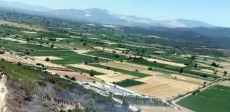 Tarım arazisinde çıkan yangın, ağaçlandırma sahasına sıçradı (2)