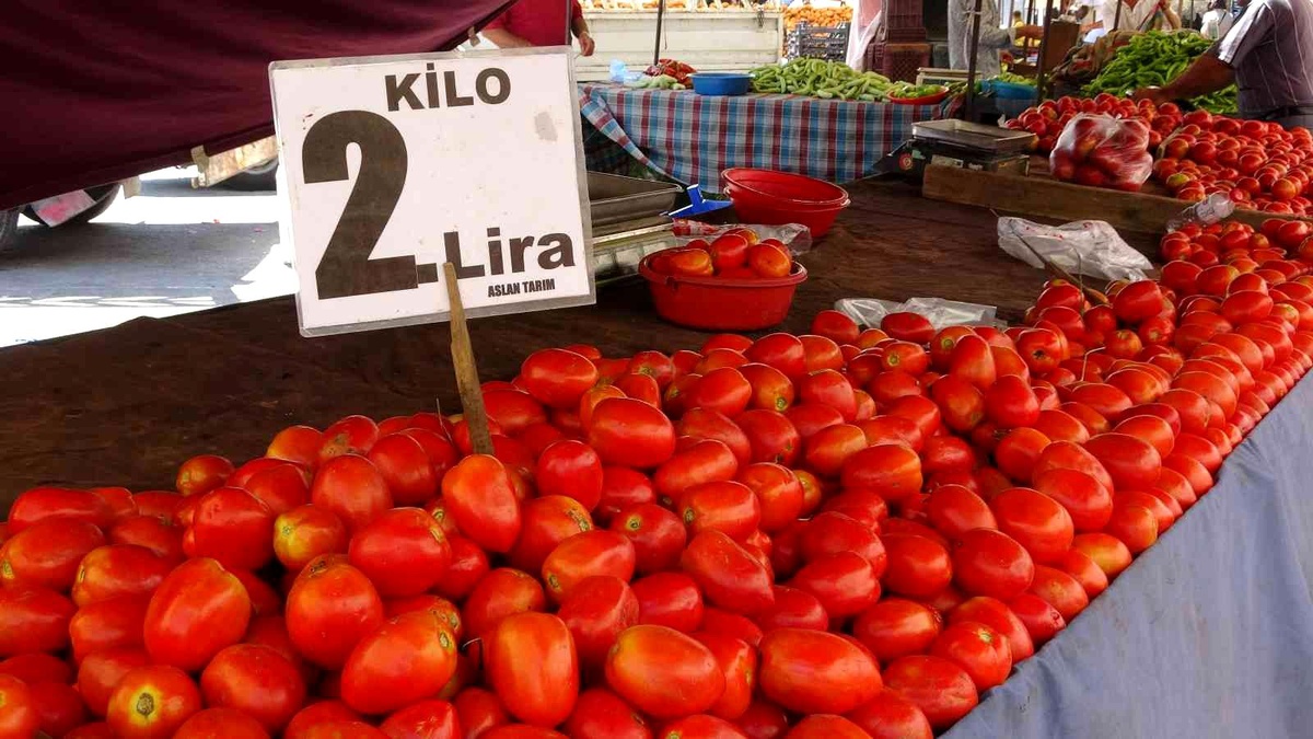 Adana\'da domatesin kilosu 2 liraya düştü