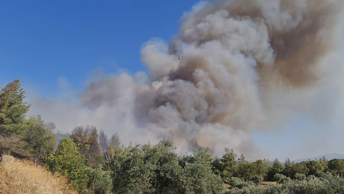 Nazilli\'de çıkan orman yangınına müdahale ediliyor (2)