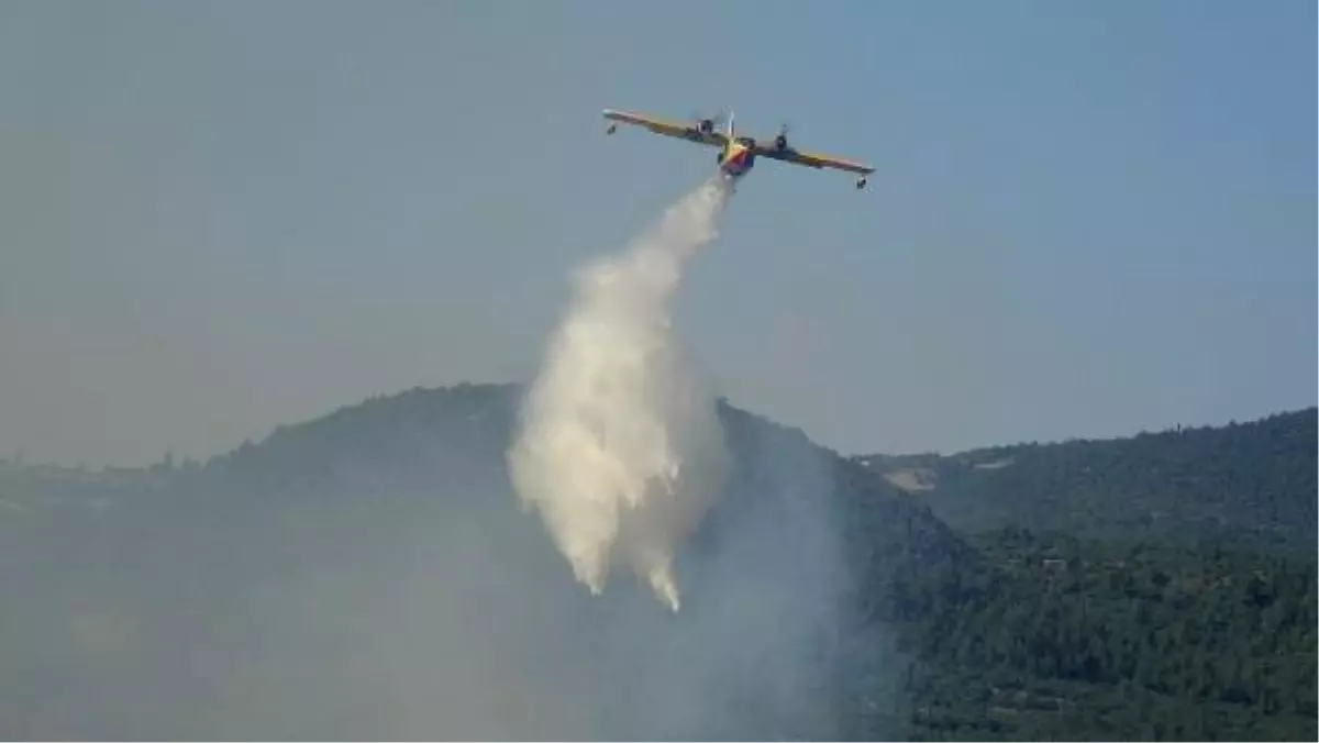 Son dakika haber... Balıkesir'de orman yangını (2)