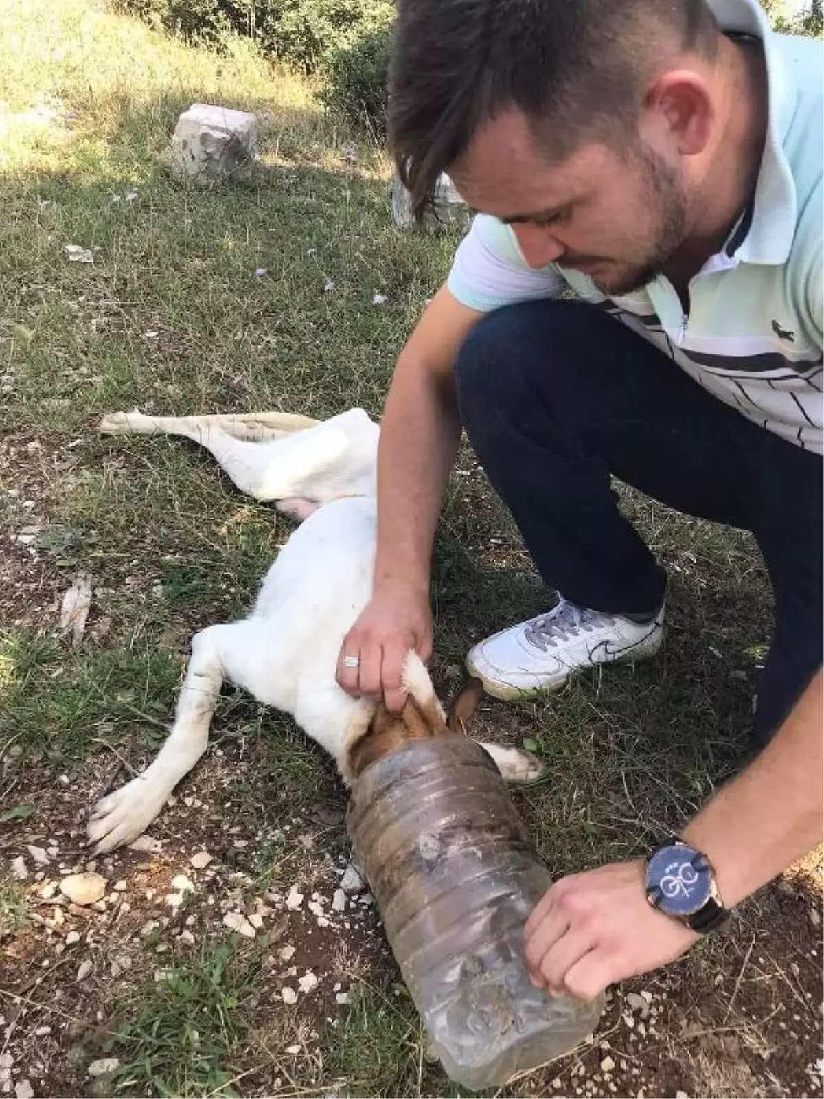 Başı bidona sıkışan köpek kurtarıldı