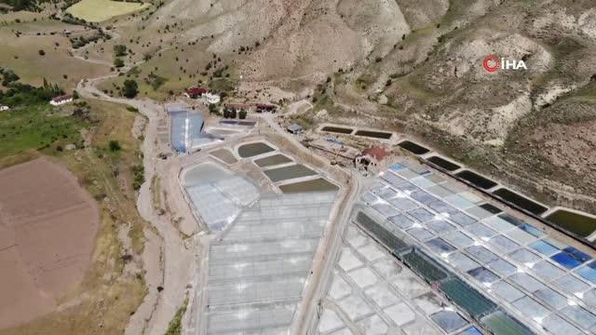 Bunaltıcı sıcaklar 3 bin yıllık Kemah tuzuna bereket getirdi