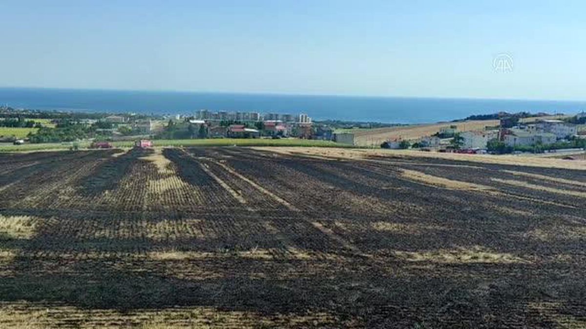 Son dakika haberi: Büyükçekmece'de otluk alanda çıkan yangın söndürüldü