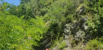 Çatalca'da kaybolan genci arama çalışmalarına ara verildi