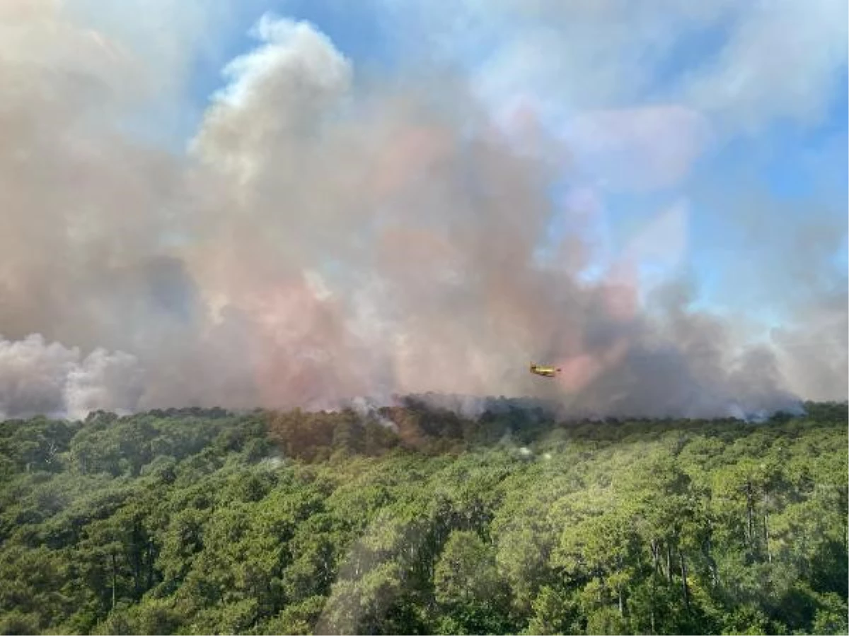 Son dakika haberi! Fransa, İspanya ve Portekiz\'de orman yangınları sürüyor