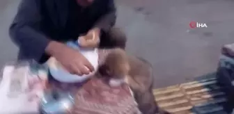 Göle'den yürekleri ısıtan görüntü: Yemeğini sokak köpeği ile paylaştı
