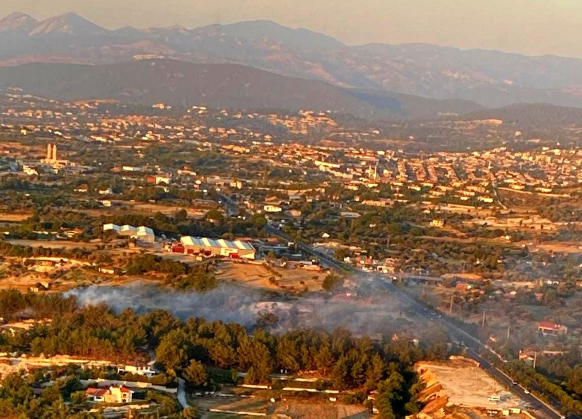 Son dakika! İzmir\'de ağaçlık alanda yangın