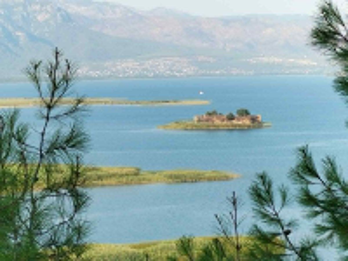 Son dakika haberi... Köyceğiz'de orman yangını riski uyarısı yapıldı