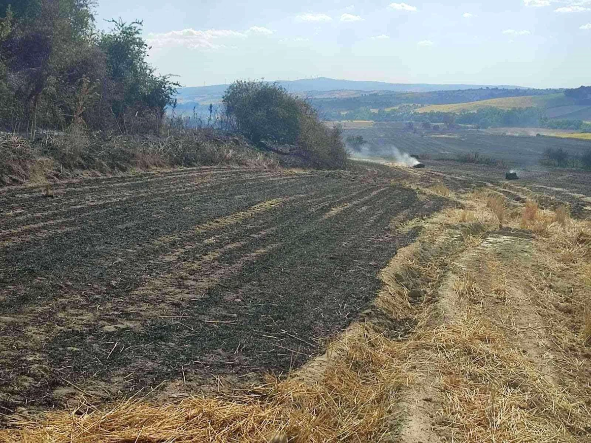 Malkara\'da 380 dönüm buğday tarlası kül oldu