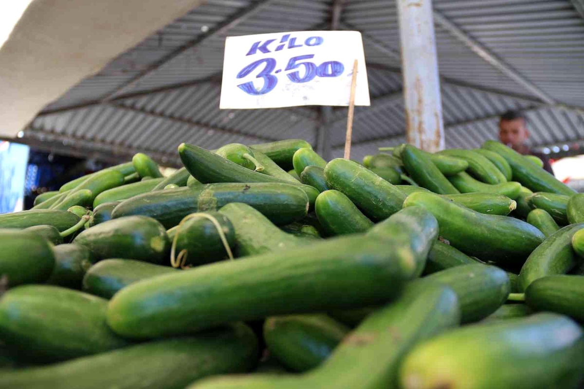 Pazar tezgahlarında salatalık 3,5 TL\'den satılıyor