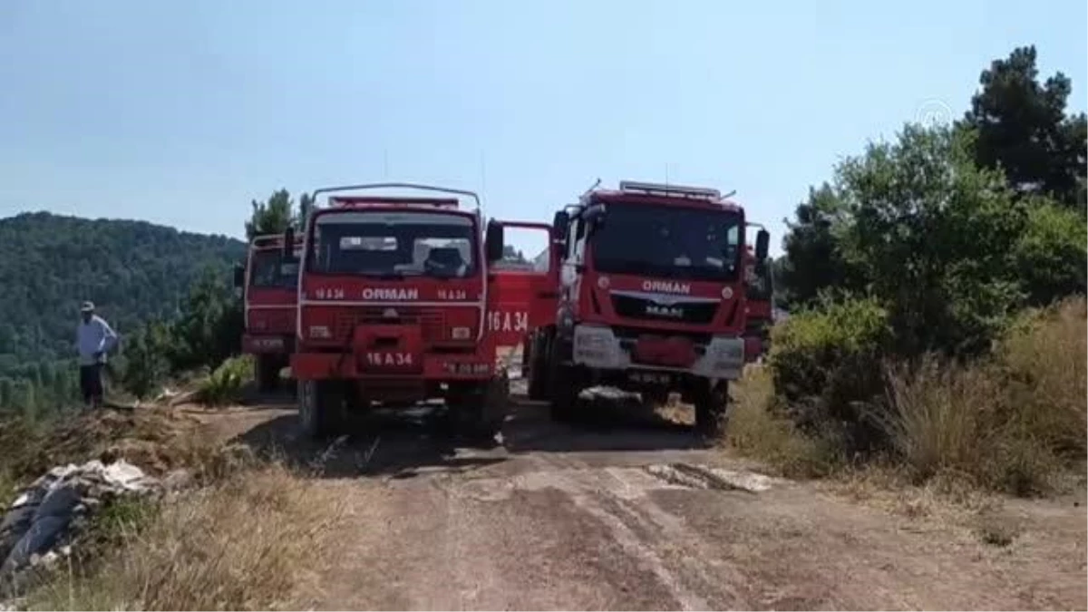 Zeytinlik alanda çıkan yangına müdahale ediliyor