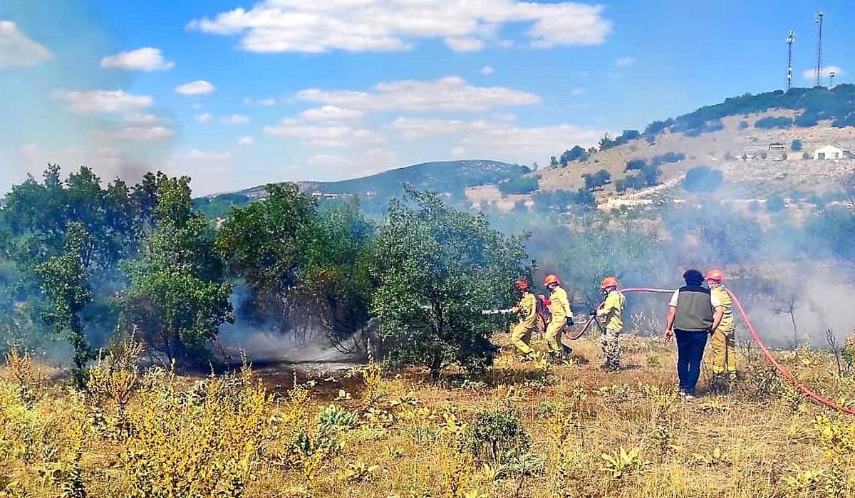 15 dekarlık ormanlık alan küle döndü