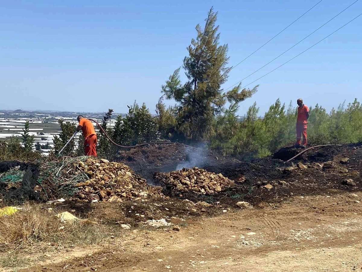 Son dakika haber: Antalya\'da ormanlık alanda çıkan yangın korkuttu