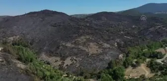 Son dakika haberleri | BALIKESİR - Kepsut ilçesindeki orman yangınında soğutma çalışmaları sürüyor