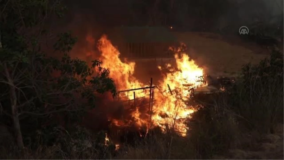 Son dakika gündem: BARSELONA - İspanya\'daki orman yangınına müdahale ediliyor