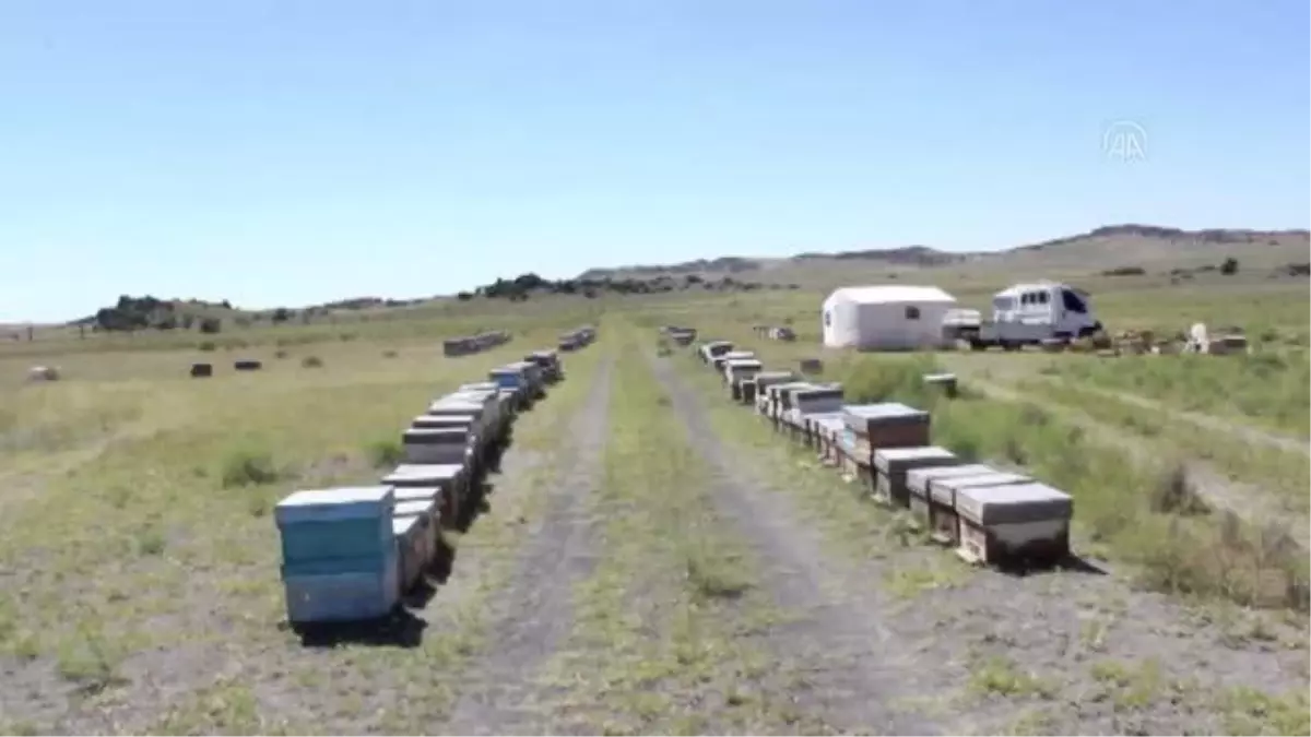 Bilici çifti 29 yıldır 'Bal Mesaisi' yapıyor