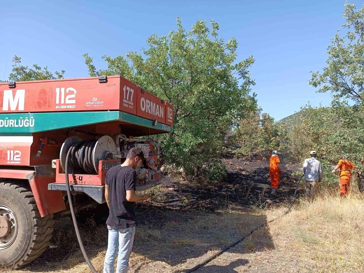 Son dakika haber! Bingöl\'de orman yangını büyümeden söndürüldü