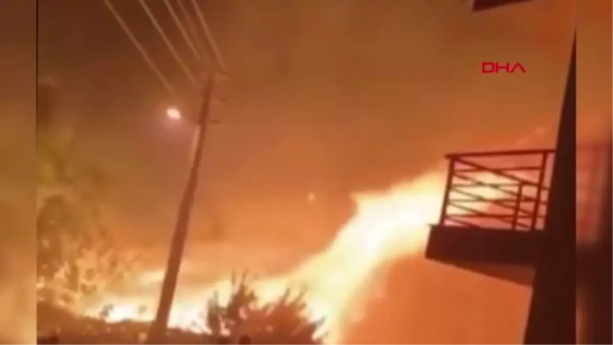 Son dakika haber... İZMİR-MENDERES\'TE AĞAÇLIK ALANDA ÇIKAN YANGIN KORKUTTU