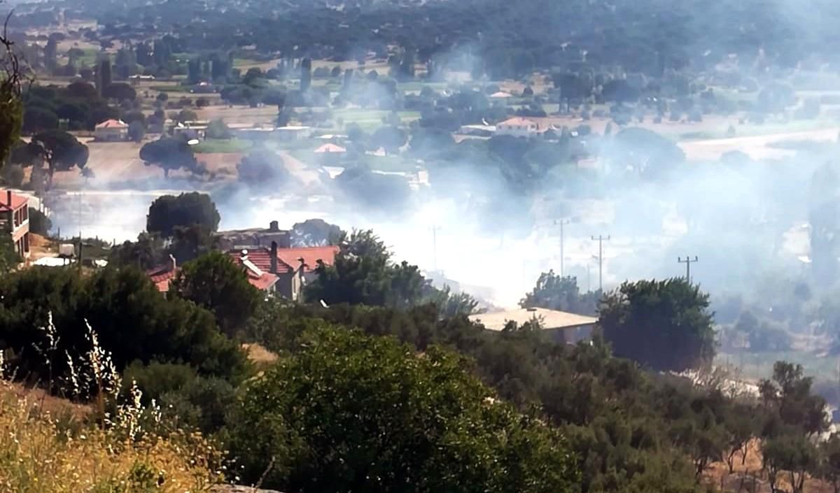 Milas'ta çıkan yangın panikletti