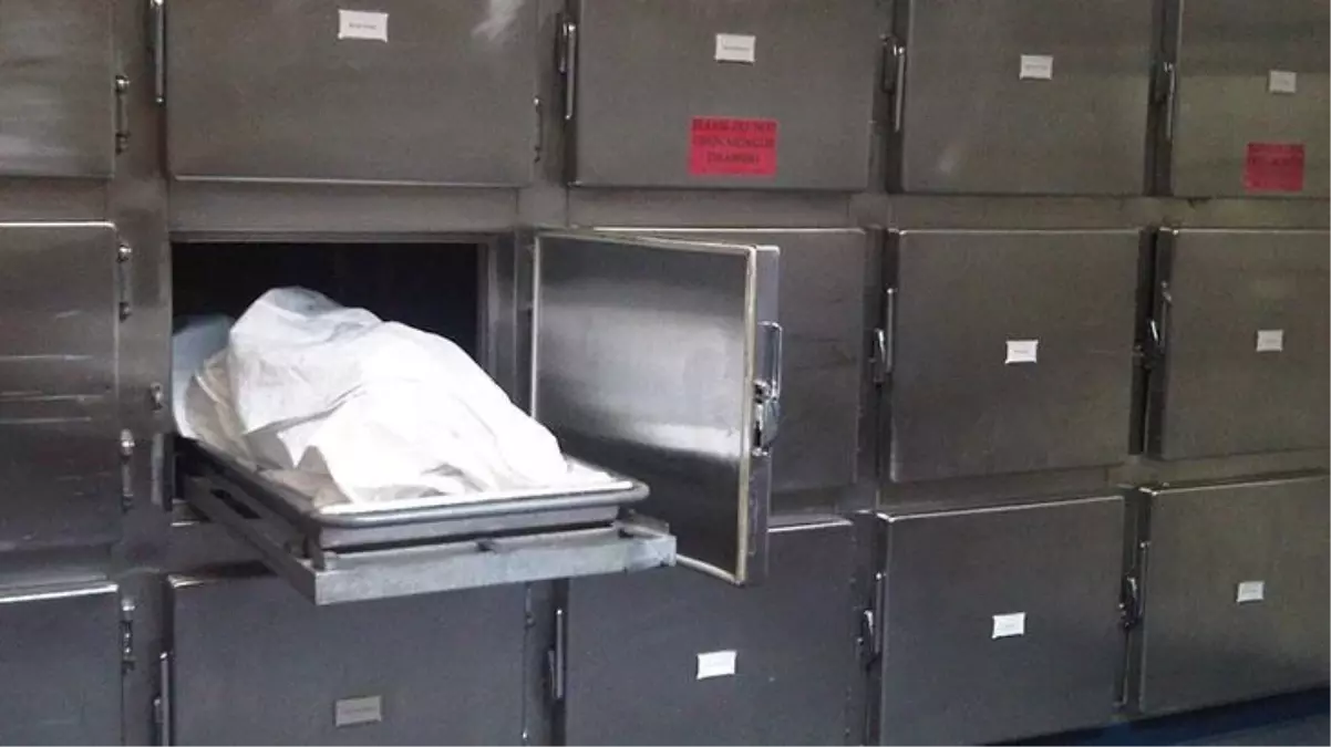 Morg çalışanı kadından akılalmaz ifşa! Cesede kedi kıyafeti giydirmek istemişler