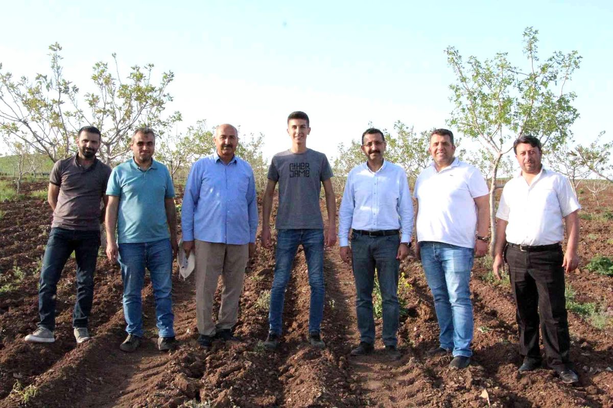 Okumak için geldiği Siirt'te üretici olmayı hedefliyor