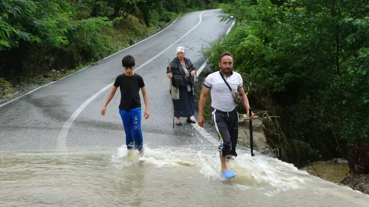 Ordu\'da heyelan sonucu 4 ev hasar aldı, bir köprü uçtu, heyelan yollara zarar verdi