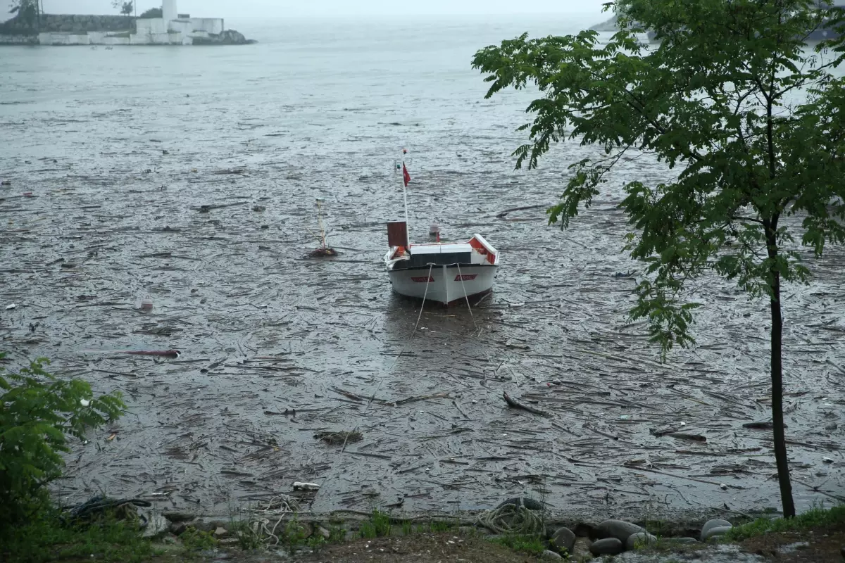 Ordu\'da şiddetli yağış hasara yol açtı