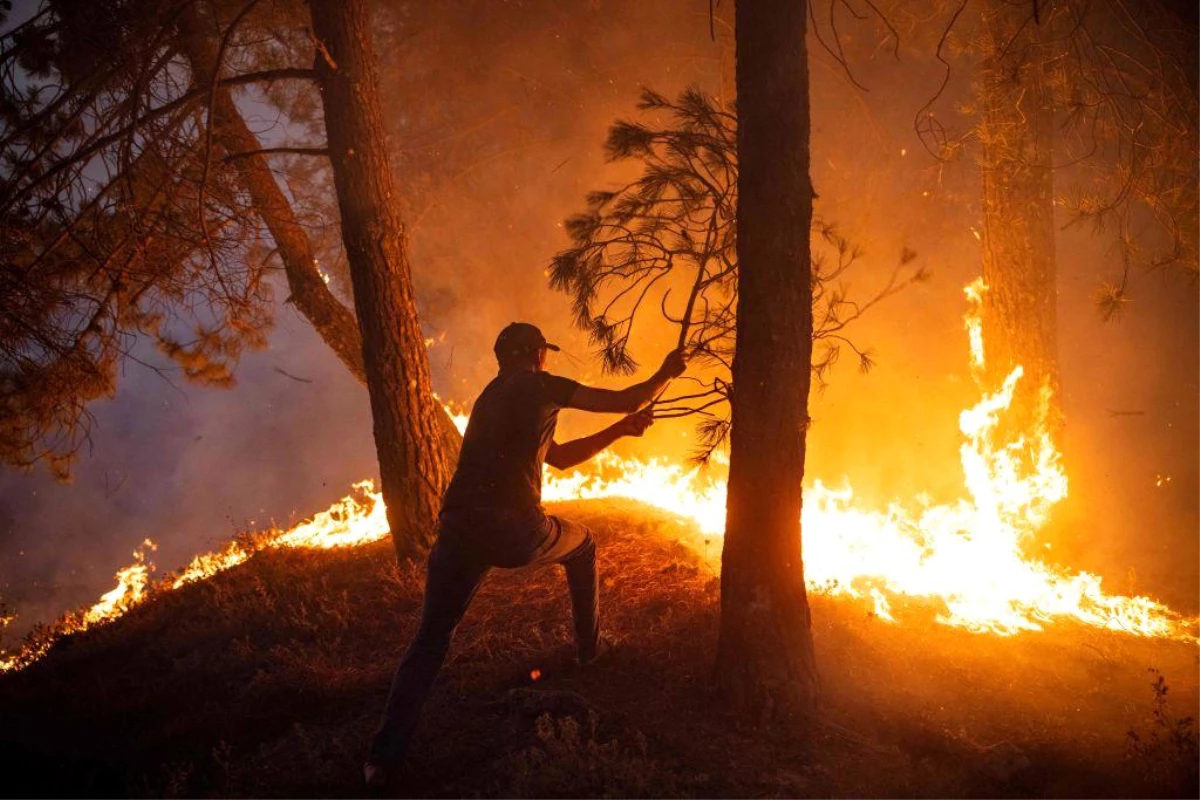 Orman yangınları: Kontrol altına alınamayan yangınlar arttı mı?