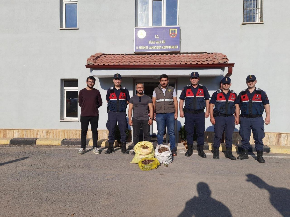Sivas\'ta salep soğanı toplayan 9 kişiye 986 bin 337 lira ceza