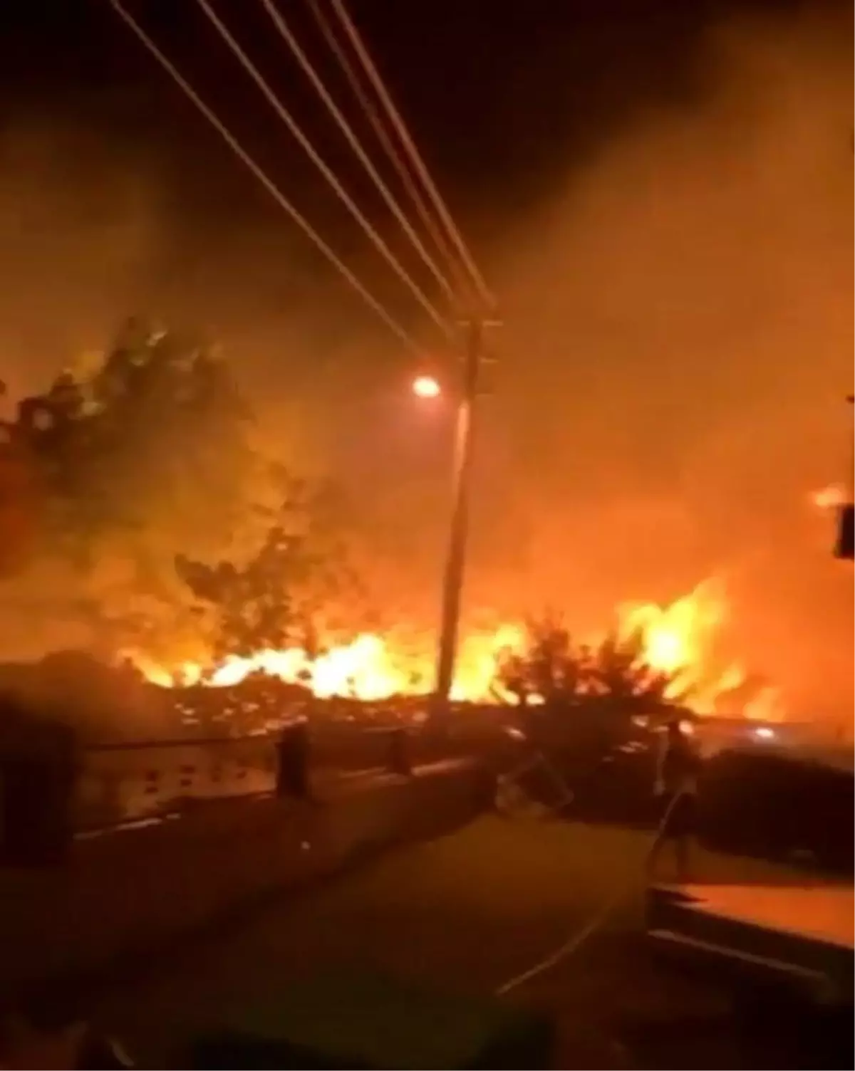 Tatil beldesi Gümüldür'de evlere yakın noktada çıkan yangın kontrol altında