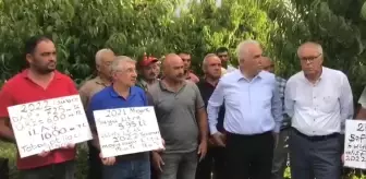 Tokatlı Üreticilerden Meyve Taban Fiyatının Geçen Yıldan Düşük Olmasına Tepki: '2 Lira Fiyat, Köylüyle Dalga Geçmekten Başka Bir Şey Değil'