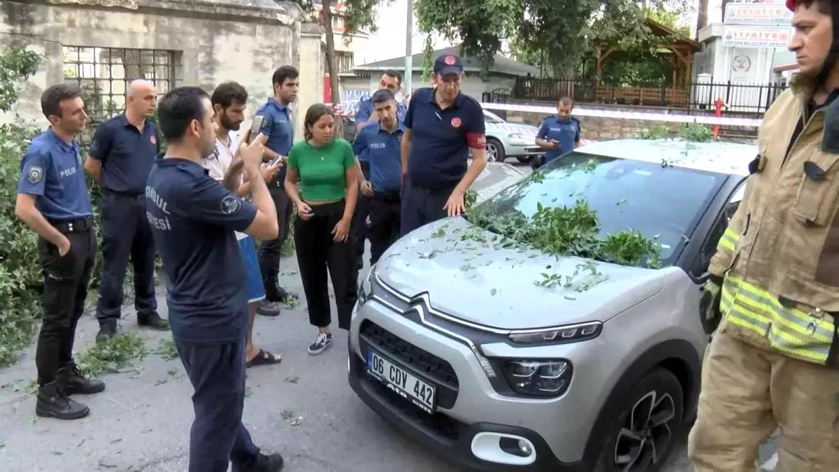 Üsküdar\'da asırlık ağaç otomobilin üzerine devrildi