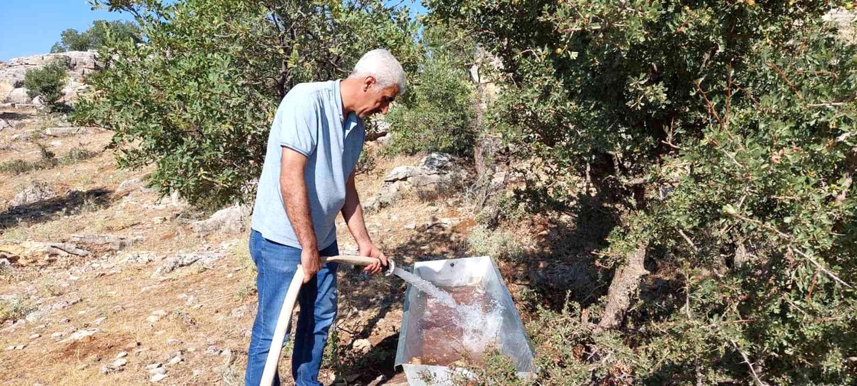 Yaban hayvanları için doğaya su bırakıldı