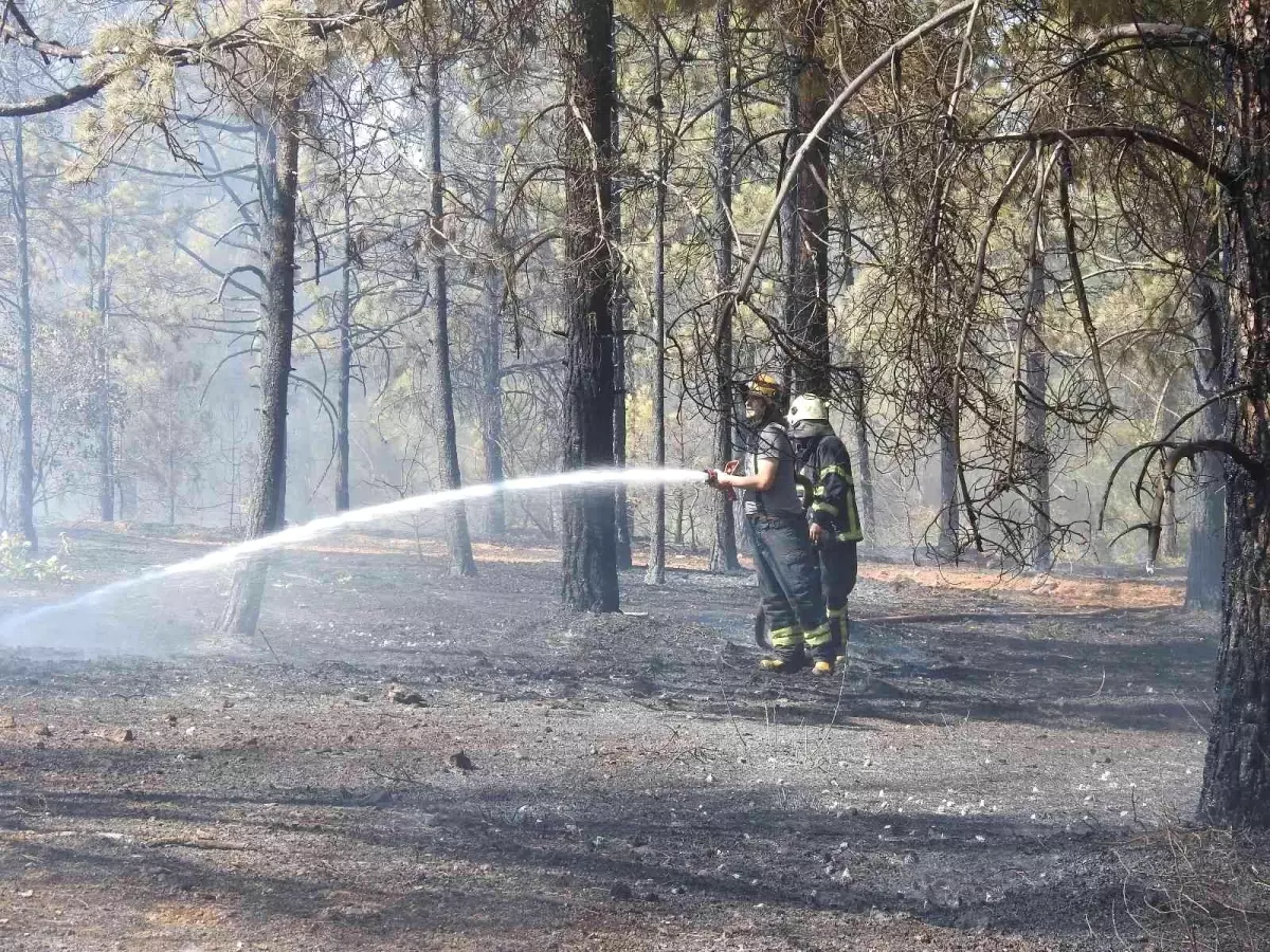 Son Dakika | Yangına ilk 7 dakikada yapılan müdahale faciayı önledi