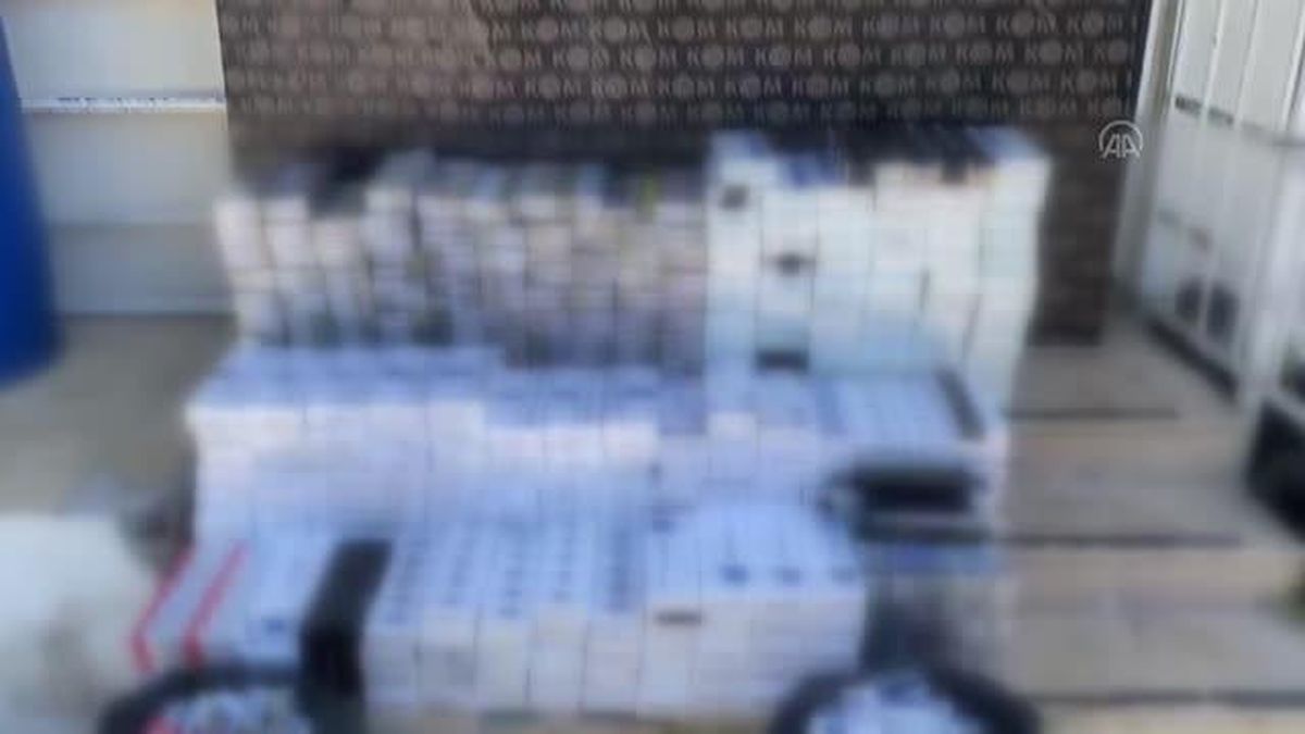 9 bin 250 paket kaçak sigara ele geçirildi