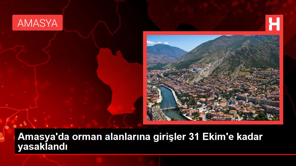 Amasya'da orman alanlarına girişler 31 Ekim'e kadar yasaklandı