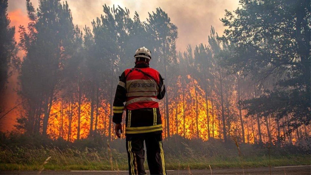Avrupa\'da sıcak hava dalagası: Akdeniz ülkeleri orman yangınları ve sıcakla mücadele ediyor