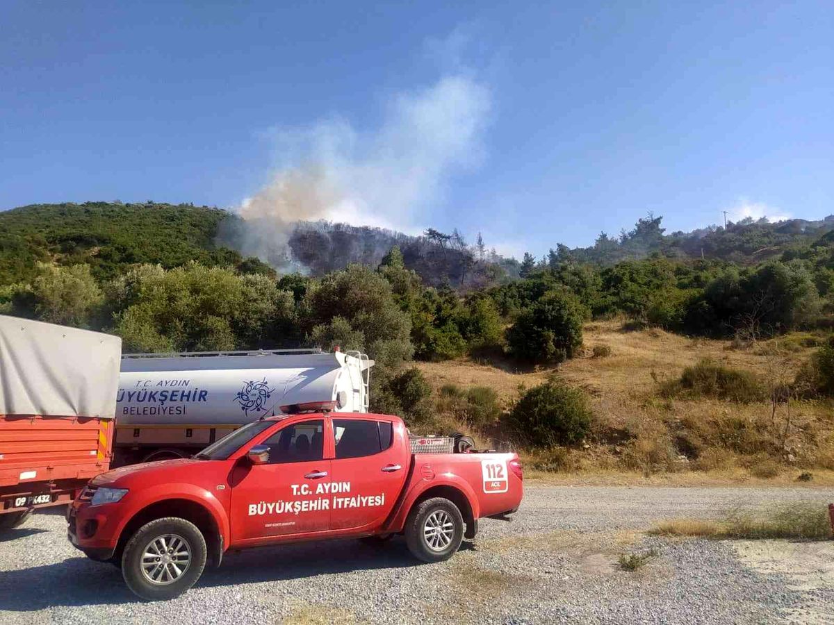 Son dakika haber | Aydın'da orman yangını