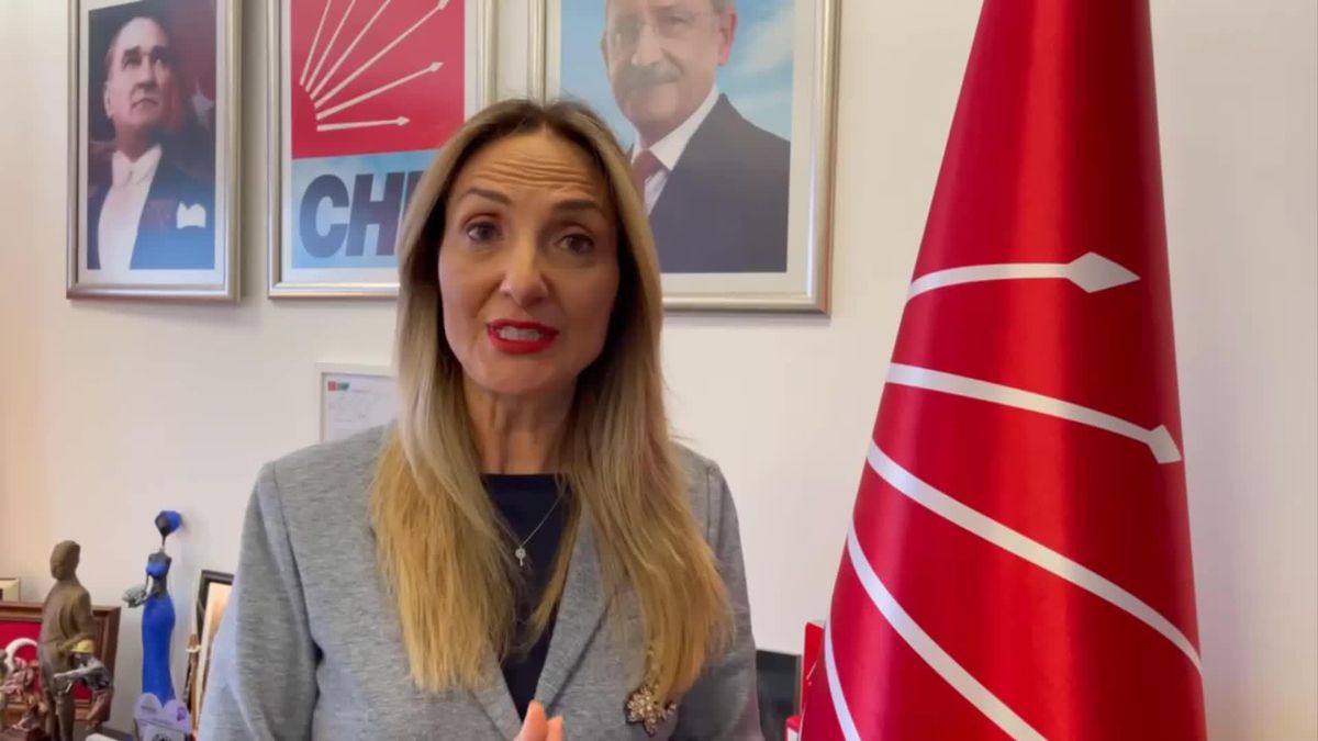 Aylin Nazlıaka'dan Danıştay'a İstanbul Sözleşmesi Tepkisi: 'Katledilen Tüm Kadınların Vebali Tek Adamın Sorumluluğudur'